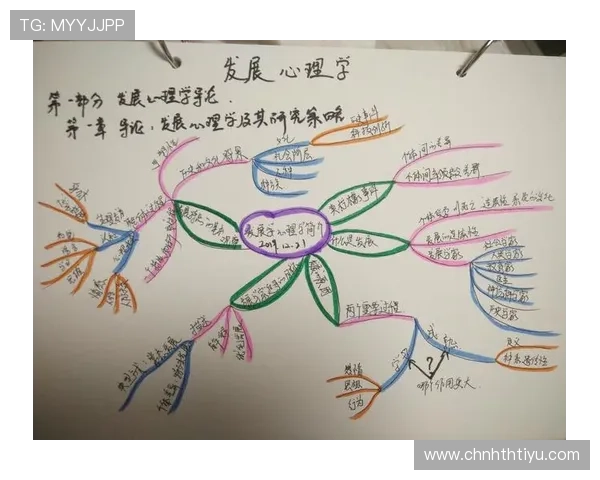 华体会官方网页入口：官方入口的多渠道访问方式与稳定性分析